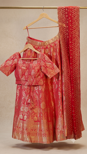 [DP313] DP313 - Ready to Wear Half Half Sarees